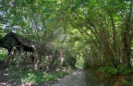 W Kręgu Natury - Foto 49