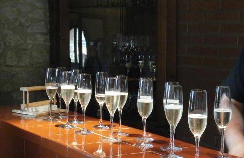 Aaccent Prenafeta Montblanc - Foto 17