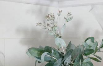 Casa Pilara - Foto 10