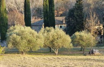 Le domaine du Moulin de Cors - Foto 19