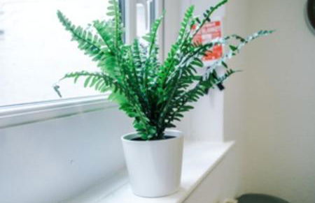 2 Bed apartment, sleeps up to 5 - Foto 16