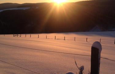 An den Bergwiesen - Foto 19