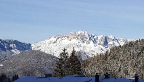 Ferienwohnung Buchenhöhe - Foto 2