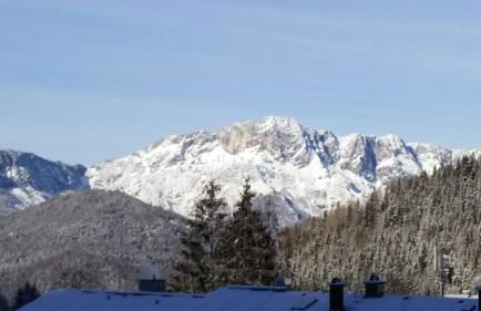 Ferienwohnung Buchenhöhe - Foto 2