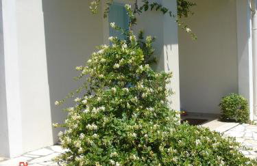 Aroggia Farm - Foto 43