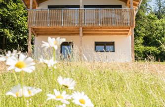 Chalet Zeitlos - Bodenmais - Foto 2