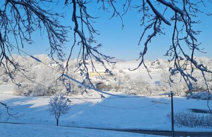 Vista Verde - Foto 41