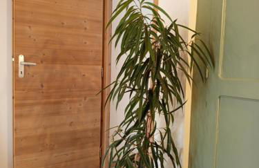 Le Chablis'cîmes - Foto 27