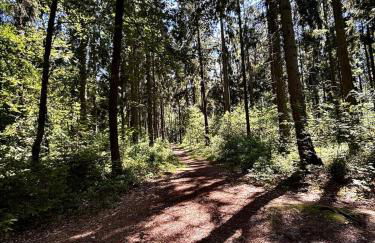 Lütt Heidjer Hus 5 Sterne DTV - Foto 44