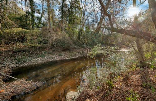 World Cup Luxury Estate Theater Nature Reserve - Foto 68