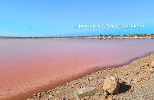 Apartment La Siesta - Foto 19