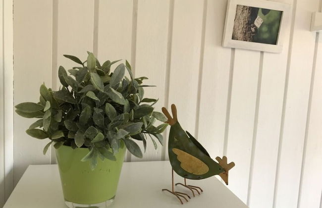 Hein Muck Modern Retreat - Photo 21