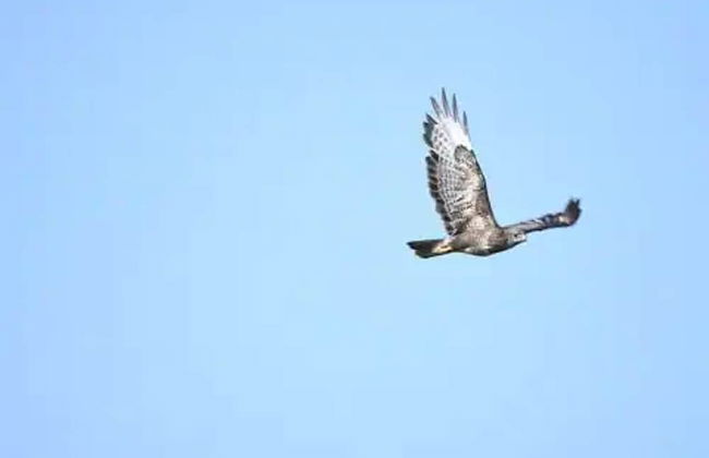 Peaceful Cabin in Skegby -sleeps2- Firer Pit - Foto 20