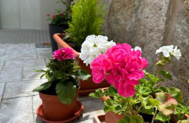 Casa La Oveja Negra, con Piscina - Foto 54