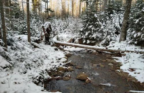 Ferienwohnungen Kremser bei Spiegelau Eppenschlag - Foto 56
