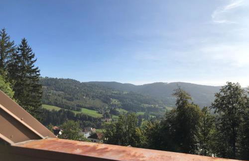 Duplex - Proche de Gérardmer - Foto 19