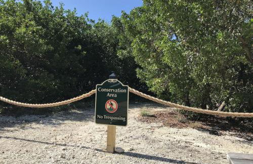 Tropical Daze Oceanfront Paradise - Foto 21