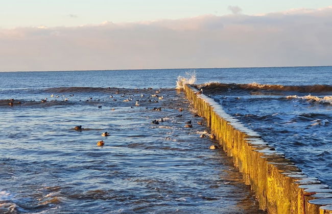 Kliff Apartamenty - Photo 27