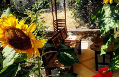 Zaira Studios - Foto 16