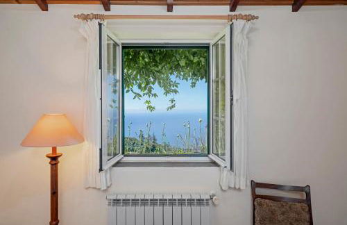 Quinta Devónia III - Nogueira by An Island Apart - Foto 65