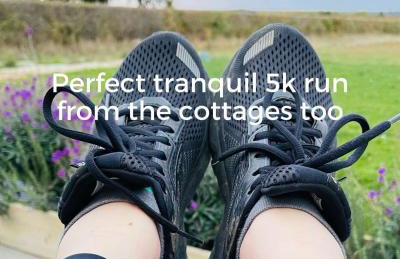 Briary Cottages at Iletts Farm - Photo 50