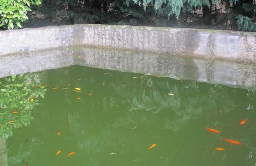 No Meio da Natureza - Turismo No Espaco Rural - Foto 24