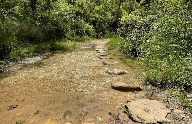 Holiday Appartement in Lucena del Cid- Basement A Ref 049 - Photo 12