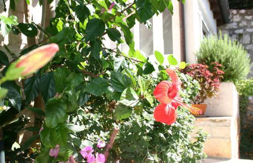 Apartments Dubrovnik Center - Photo 13