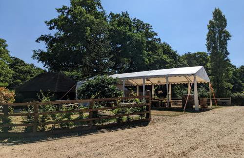 Cabin in the Forest - Foto 13