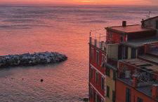 Pepita di Rio - Foto 1