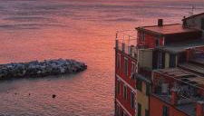 Pepita di Rio - Foto 1