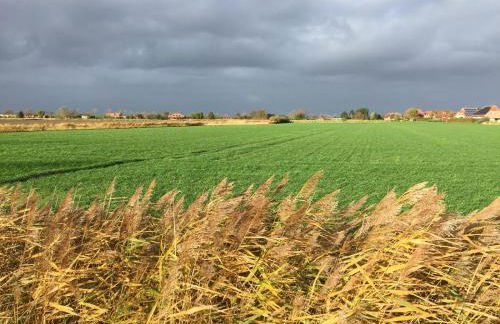 Minsener Warft - Photo 28