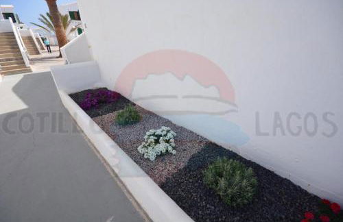 Cotillo Lagos - Foto 15