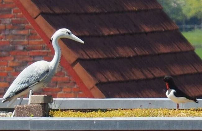 Villa Garden Cloud 7 - Foto 28