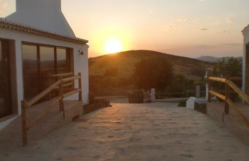 Horta da Quinta - Foto 63