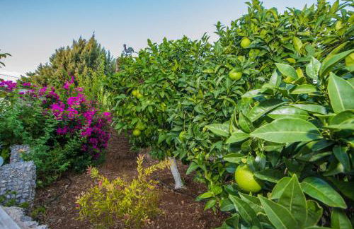 Lila's house - Photo 39