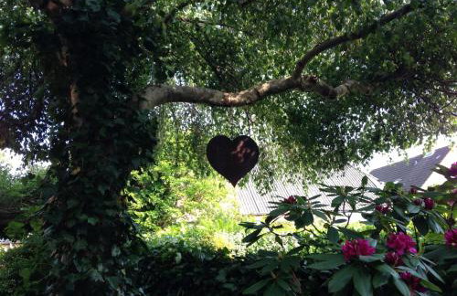 Hüs in`t Dörp - Foto 20