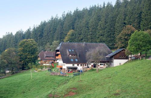Kapfenmathishof Urlaubsbauernhof - Foto 55