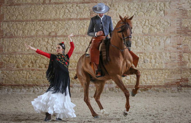 Spettacolo equestre alle Caballerizas Reales - Foto 7