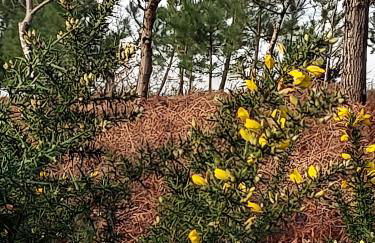 Gîte La Thébaïde Spa Sauna Jardin - Foto 6