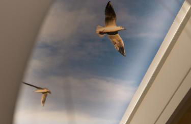 Maison atypique pour 4 personnes - proche plage - Foto 51