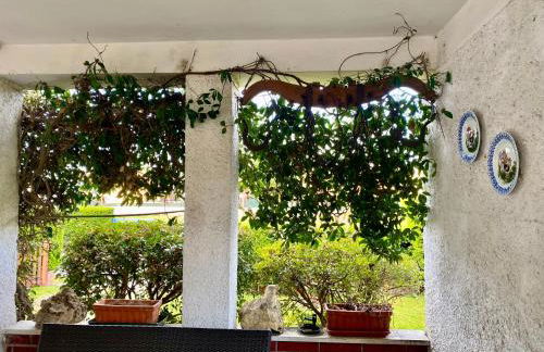 Residenza Palmira Bardolino - Foto 8