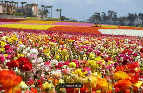 Mile to Beach! Private, Family & Pet Friendly Oasis! Pool Table & Hot tub! - Photo 45