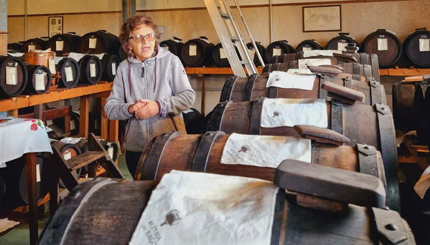 Visitando la sala de barricas de la bodega