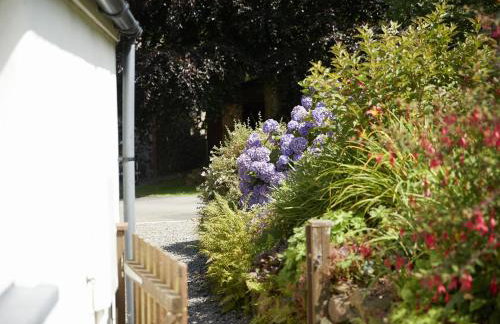 The Dairy Pembrokeshire - Foto 12