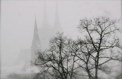 Olive Tree City Apartment - Foto 25