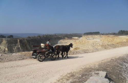 Ferienwohnung - b50233 - Foto 13