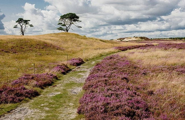 Family Apartment - Near Billund - Foto 24