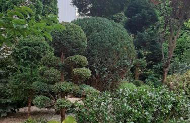 Podlaska Oaza - Dom całoroczny z sauną. - Foto 34