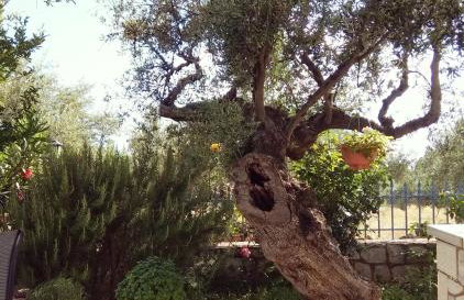 Atha-Tina:Traditional Stone Homes - Foto 39